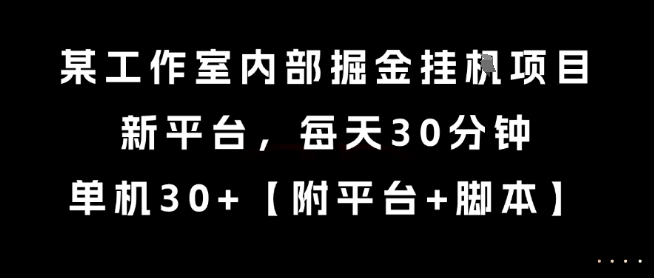 某工作室内部掘金挂G项目，新平台，每天30分钟，单机30+【揭秘】-小白网创