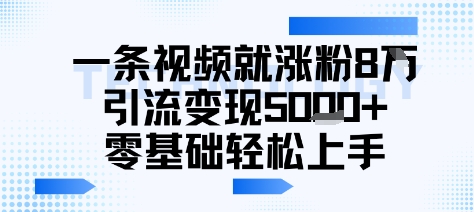 一条视频就涨粉8W引流变现5k+，0基础项目轻松上手-小白网创