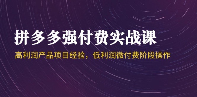 （14874期）拼多多强付费实战课-44期，高利润产品项目经验，低利润微付费阶段操作-小白网创