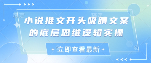 小说推文开头吸睛文案的底层思维逻辑实操-小白网创