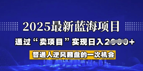 2025年首次揭秘如何通过“网创项目”日入多张【揭秘】-小白网创