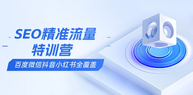 （13851期）SEO精准流量特训营，百度微信抖音小红书全覆盖，带你搞懂搜索优化核心技巧-小白网创