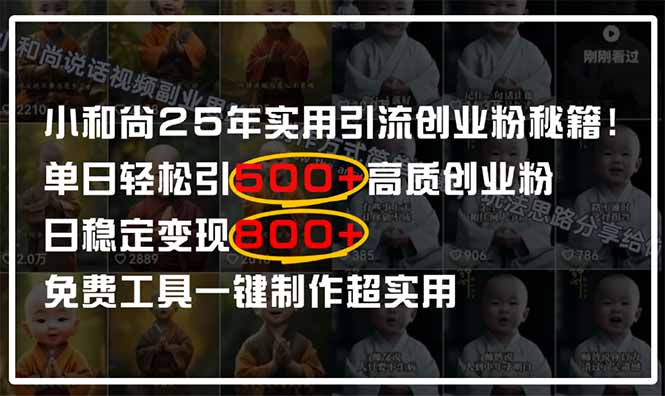 （14436期）小和尚2025年实用引流秘籍！单日轻松引500+高质量创业粉，日变现800+，…-小白网创