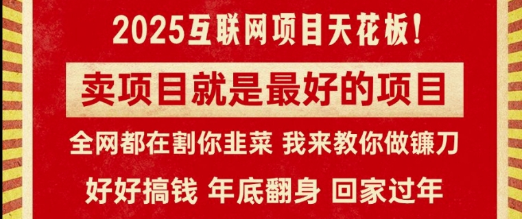 卖项目就是最好的项目，2025年互联网项目天花板-小白网创