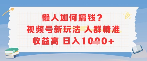 懒人如何搞钱？视频号新玩法，人群精准收益高，日入多张-小白网创