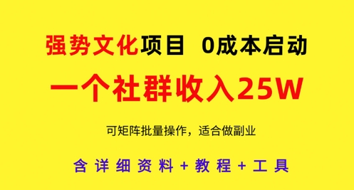 强势文化项目，一个社群收入25个W，0成本启动，可矩阵批量操作，原创详细实操教程-小白网创