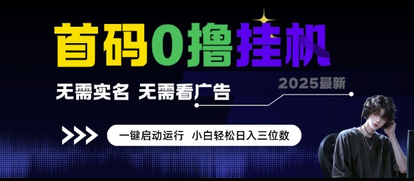 首码0撸挂G项目，无需实名无需看广告 一键启动运行，小白轻松日入三位数【揭秘】-小白网创