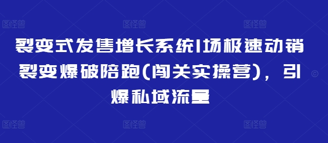 裂变式发售增长系统1场极速动销裂变爆破陪跑(闯关实操营)，引爆私域流量-小白网创