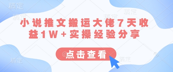 小说推文搬运大佬7天收益1W+实操经验分享-小白网创