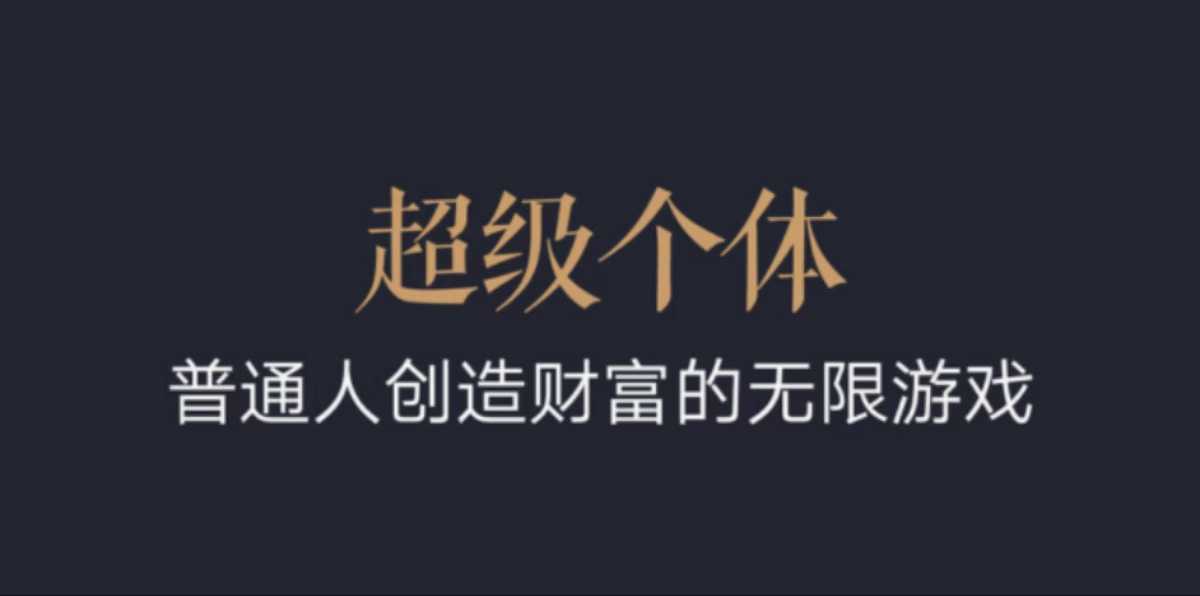 超级个体：2024-2025翻盘指南，普通人创造财富的无限游戏-小白网创