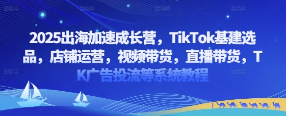 2025出海加速成长营，TikTok基建选品，店铺运营，视频带货，直播带货，TK广告投流等系统教程-小白网创