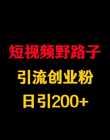 短视频野路子引流创业粉，日引200+-小白网创
