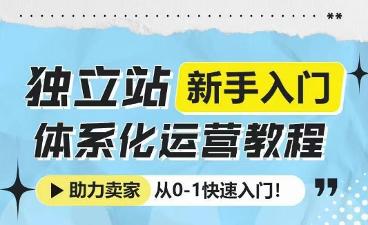 独立站新手入门体系化运营教程，助力独立站卖家从0-1快速入门!-小白网创