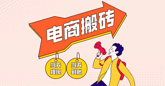 （14310期）电商搬砖项目，单机日收益300+，非常暴力，小白上手就会-小白网创