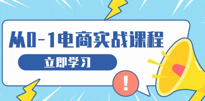 （13594期）从零做电商实战课程，教你如何获取访客、选品布局，搭建基础运营团队-小白网创