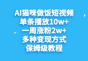 AI猫咪做饭短视频，单条播放10w+，一周涨分2w+，多种变现方式，保姆级教程-小白网创