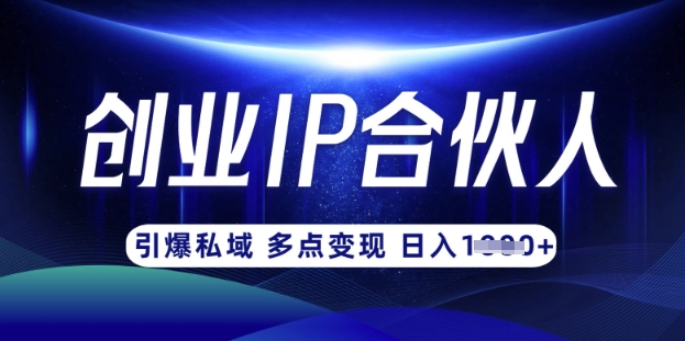 云帆·创业ip合伙人打造3.0，从0到1教你做网创，实现月入过W-小白网创