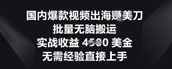 国内爆款视频出海挣美刀，批量无脑搬运，实战收益4.5k，无需经验直接上手-小白网创