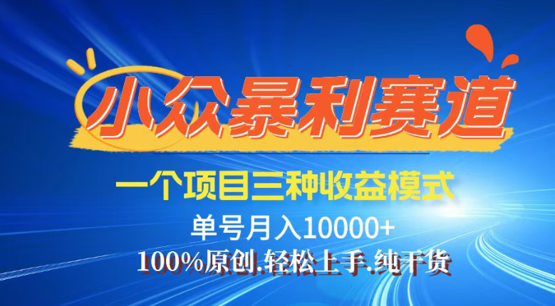 （14300期）【灵狐计划】视频号最新爆火赛道，三种收益模式，0粉新号条条热门原创…-小白网创