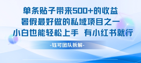 单条贴子带来5张的收益，暑假最好做的私域项目之一，小白也能轻松上手，有小红书就行-小白网创