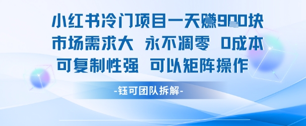 小红书冷门项目一天收益9张，市场需求大，0成本，可复制性强可以矩阵操作-小白网创