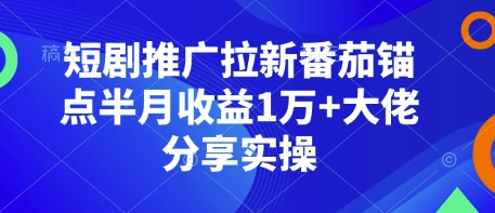 短剧推广拉新番茄锚点半月收益1万+大佬分享实操-小白网创