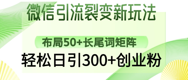 微信引流裂变新玩法：布局50+长尾词矩阵，轻松日引300+创业粉-小白网创