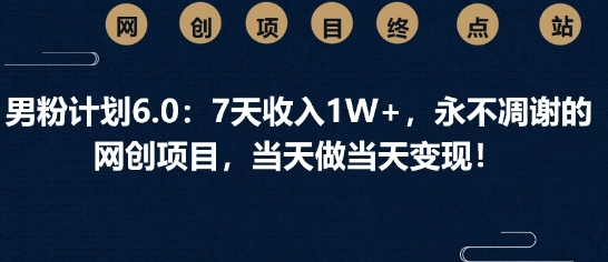 男粉计划6.0：7天收入1W+，永不凋谢的网创项目，当天做当天变现-小白网创