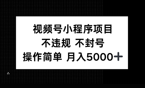 视频号小程序项目，不违规不封号，操作简单 月入5000+-小白网创