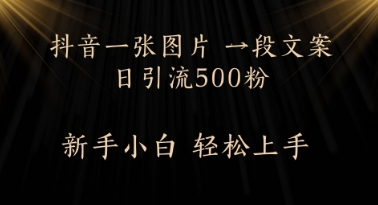 每天2分钟，抖音一张图片 一段文案日引流500粉-小白网创