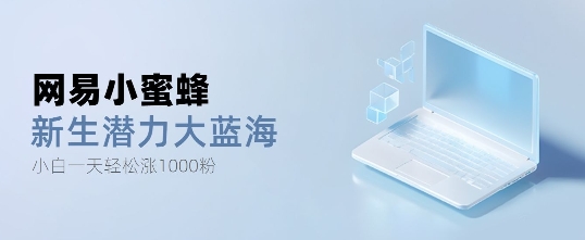网易小蜜蜂，最新大蓝海项目，单日轻松日涨千粉-小白网创