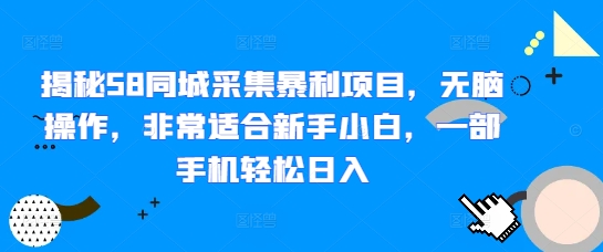 揭秘58同城采集暴利项目，无脑操作，非常适合新手小白，一部手机轻松日入-小白网创