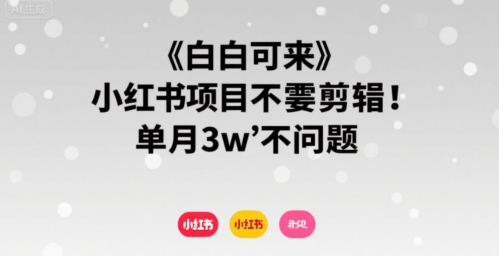 小白可来 小红书项目不需要剪辑 单月3w不是问题-小白网创