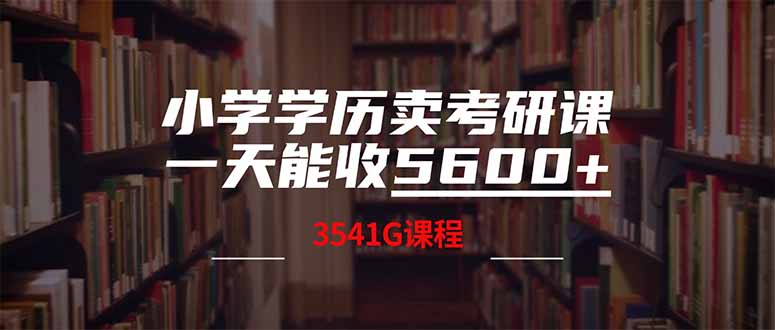 （14561期）小学学历卖考研课程，一天收5600（附3580G考研合集）-小白网创