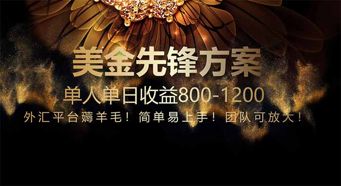 （14761期）免费技术！小众赛道！一年布局抵三年努力，每日800+-小白网创