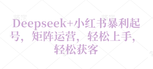 Deepseek+小红书暴利起号，矩阵运营，轻松上手，轻松获客-小白网创
