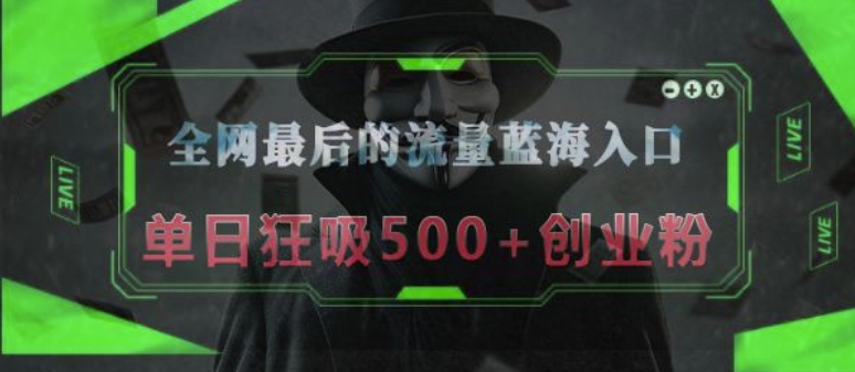 全网最后的流量蓝海入口，半小时引流50+创业粉，单日狂吸500+创业粉-小白网创