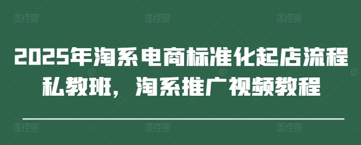 2025年淘系电商标准化起店流程私教班，淘系推广视频教程-小白网创