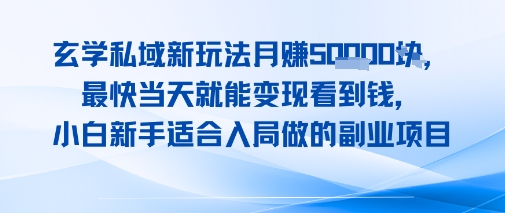 玄学私域新玩法月入1W+，最快当天就能变现看到米，小白新手适合入局做的副业项目-小白网创
