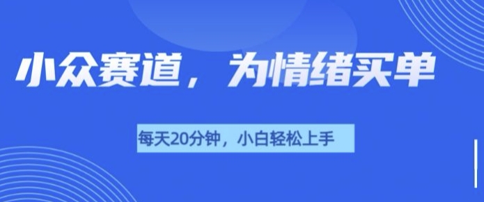 小众赛道，我的治愈系电子抱枕，让用户为情绪买单-小白网创