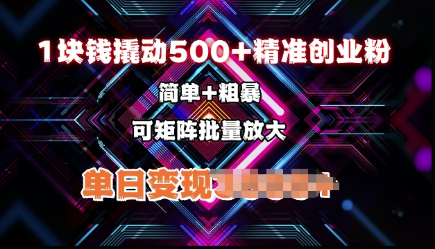 低价撬动500+精准创业粉，简单、粗暴、批量放大，单日变现多张-小白网创