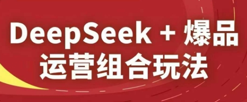 DeepSeek+爆品运营组合玩法，2025淘系精品课-小白网创