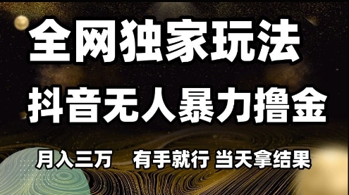 全网独家玩法抖音无人暴力撸金，月入3W，有手就行，当天拿结果【揭秘】-小白网创