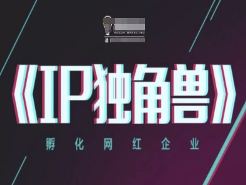 IP独角兽，孵化网红企业，ip教程-小白网创