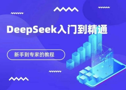 DeepSeek快速从入门到精通，新手的保姆级教程-小白网创
