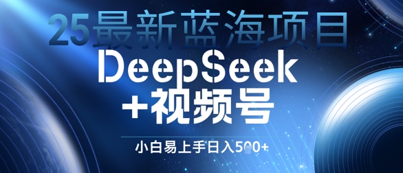 25最新蓝海项目DeepSeek+视频号，小白易上手日入几张-小白网创