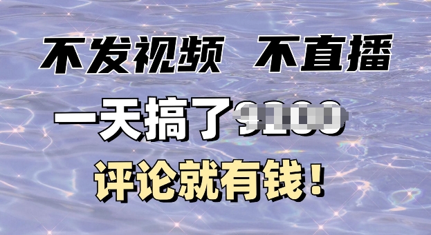 不发作品不直播，评论就有钱，一条最高10块，一天搞多张-小白网创