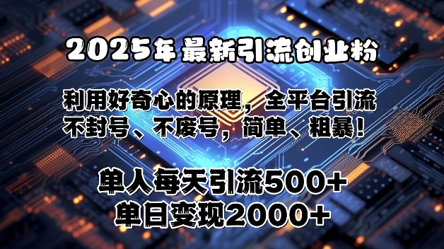 2025年最新引流创业粉，利用好奇心的原理，全平台引流，不封号、不废号，简单、粗暴-小白网创