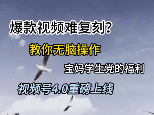 视频号4.0重磅上线，爆款视频难复刻？教你无脑操作宝妈学生党的福利【揭秘】-小白网创