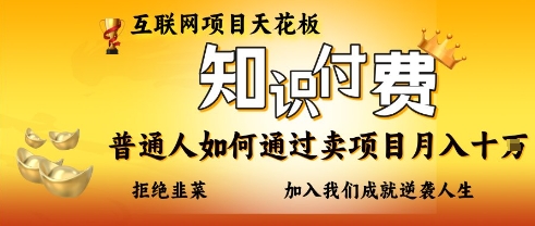互联网项目天花板，知付付费项目，普通人如何通过卖项目月入十个，拒绝韭菜【揭秘】-小白网创